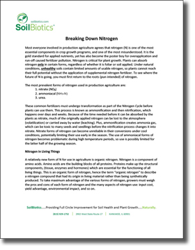 Breaking Down Nitrogen